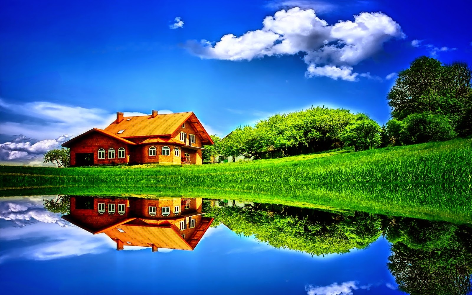 Sebrae Minas - Teste de bruno de eboook complementar